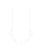 Humanbein